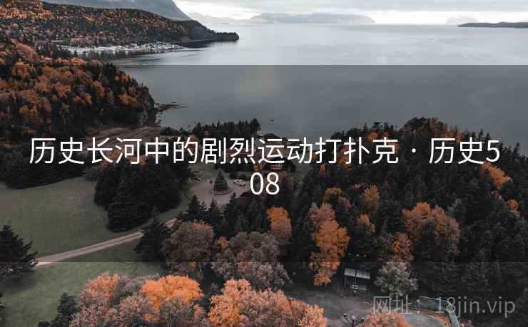 历史长河中的剧烈运动打扑克 · 历史508