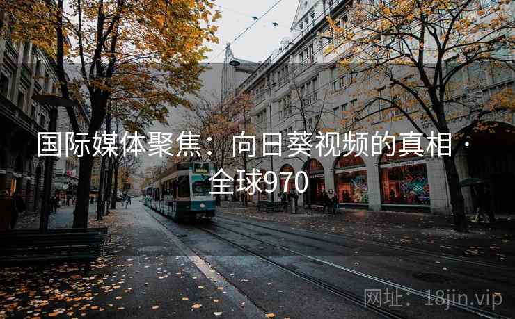 国际媒体聚焦：向日葵视频的真相 · 全球970
